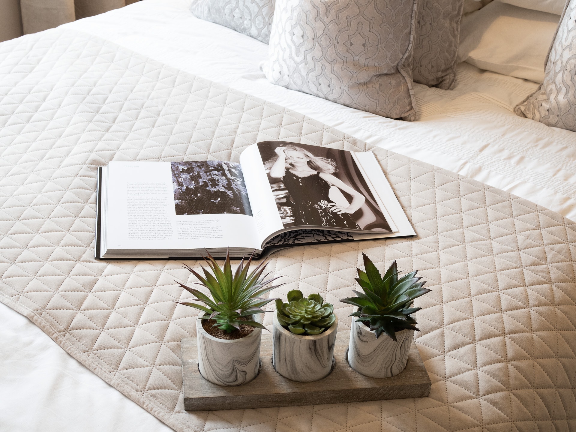 Plants and Open Book on Bed