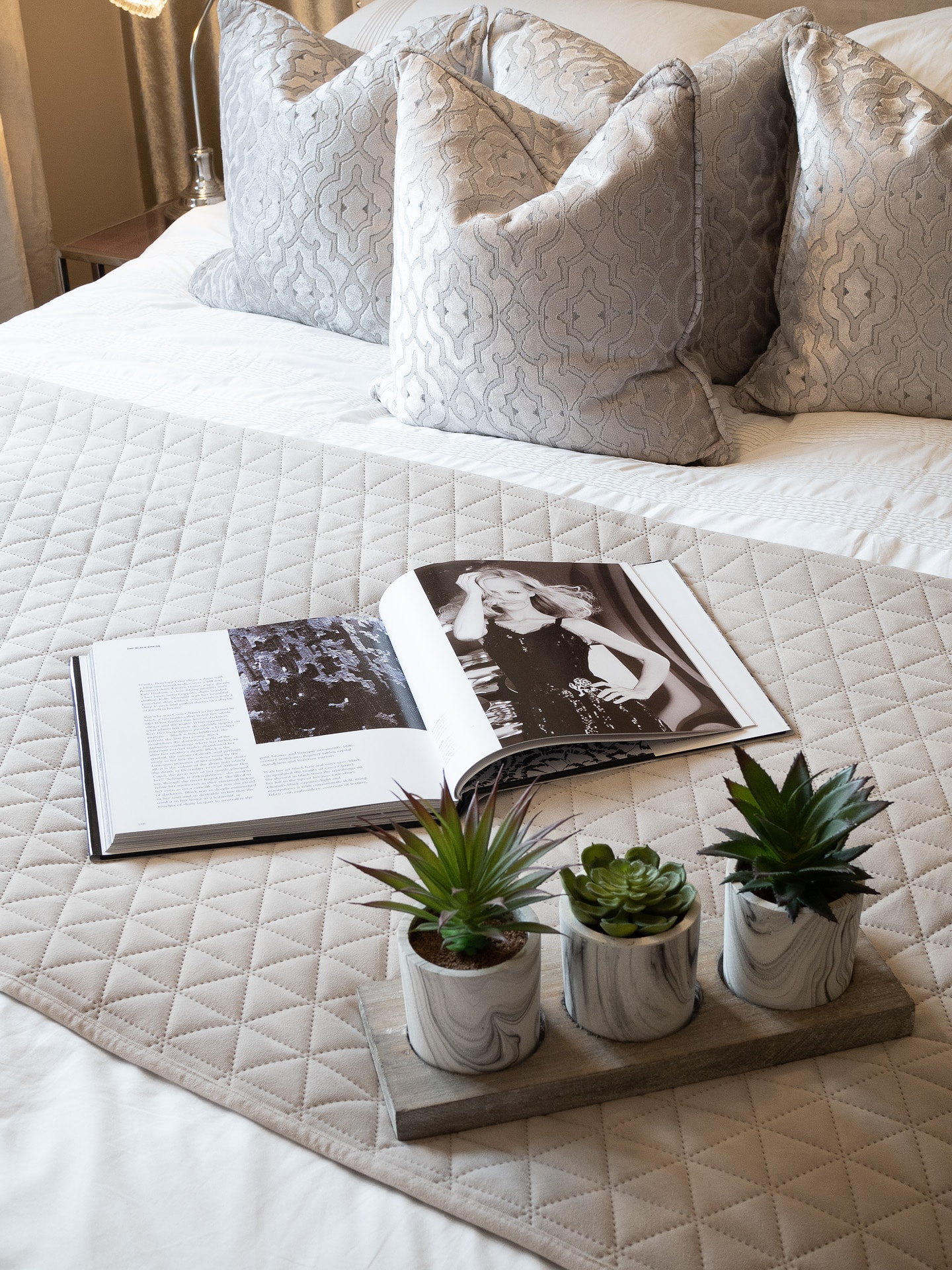 Cactus and Book on Bed